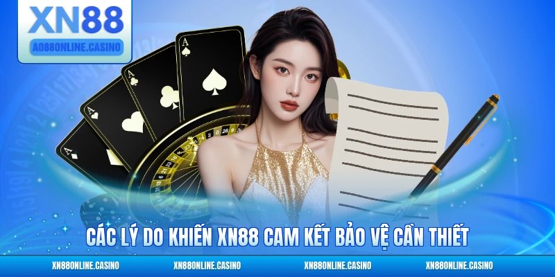 Các lý do khiến XN88 cam kết bảo vệ cần thiết